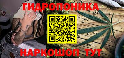 каннабис Владимир