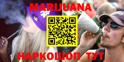 прущие грибы Владикавказ
