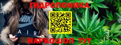 каннабис Владимир