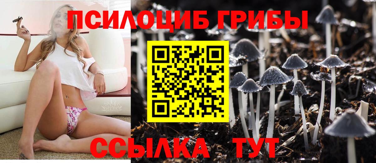 Псилоцибиновые грибы мицелий Белово