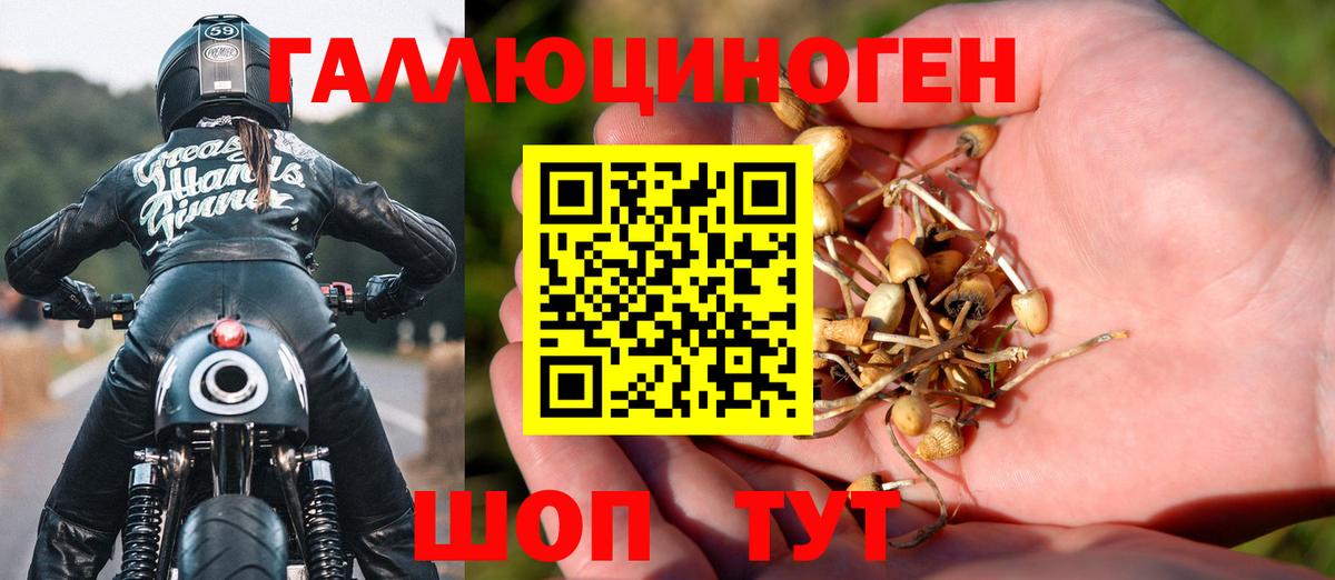 Галлюциногенные грибы Psilocybine cubensis  Вход с VPN  Белово  Галлюциногенные грибы GOLDEN TEACHER 